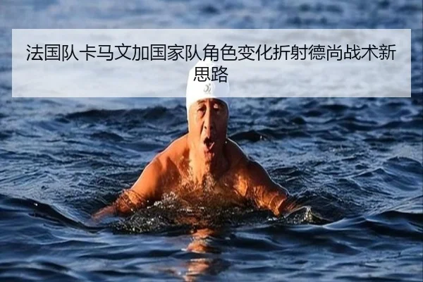 法国队卡马文加国家队角色变化折射德尚战术新思路