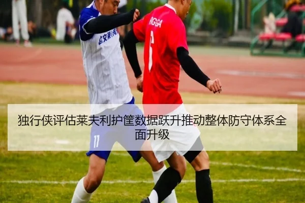 独行侠评估莱夫利护筐数据跃升推动整体防守体系全面升级