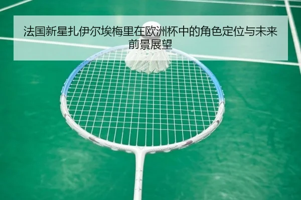 法国新星扎伊尔埃梅里在欧洲杯中的角色定位与未来前景展望